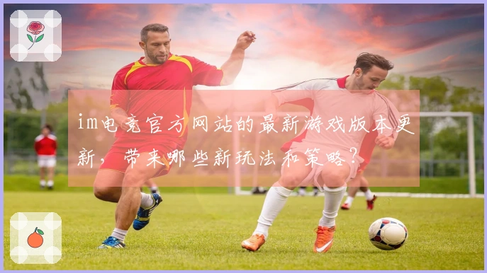 im电竞官方网站的最新游戏版本更新，带来哪些新玩法和策略？